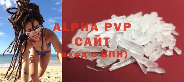 прущие грибы Киренск
