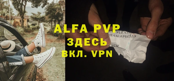 прущие грибы Киренск
