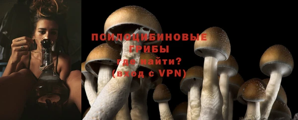 спиды Киреевск
