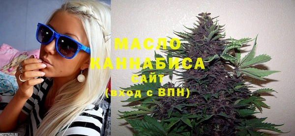 мдпв Карпинск
