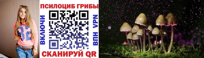 сколько стоит  Мариинский Посад  Псилоцибиновые грибы MAGIC MUSHROOMS 